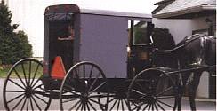 Amish Buggy