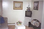 Color Cable TV