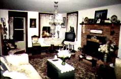 Working Fireplace