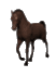 Walking Horse