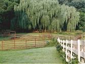 Horse Pen