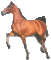 Small Horse