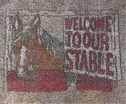 Welcome to Our Stable Suite